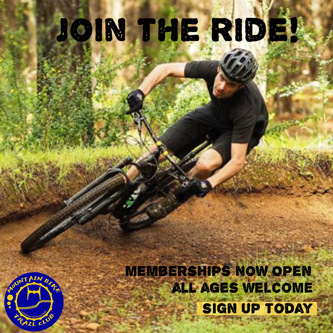 Image of Advertisement